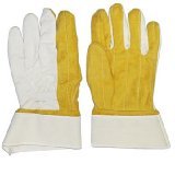 Knox-Fit Gloves Short Cup 12 Pairs