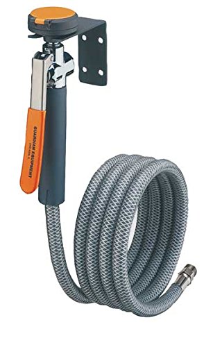 Guardian G5025 Metal Single Head Drench Hose, Wall Mount, 8'